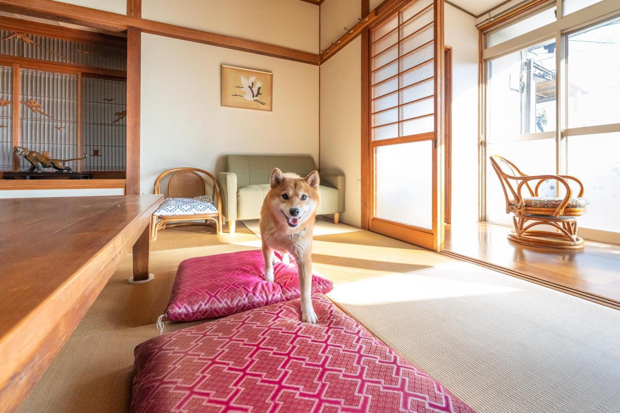 Apartment 古民家民泊ーよかよー Kawatana